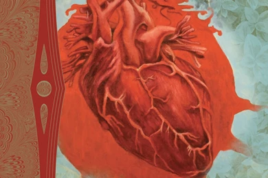 Download Free HQ Anatomy Wallpapers   Hqwallbase.pw