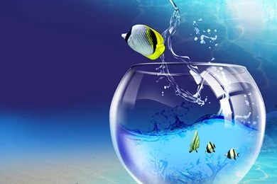 HD Wallpapers For PC Full Screen Apple Best HD Desktop Wallpapers ...