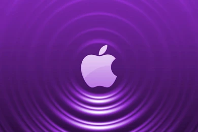 Apple Purple HD Wallpapers For PC 3328   Amazing Wallpaperz