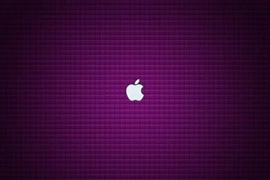 Purple Wallpapers 61A