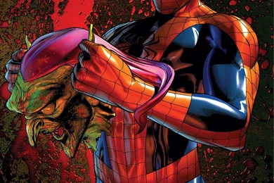 SPIDER MAN Superhero Marvel Spider Man Action Spiderman Wallpapers ...