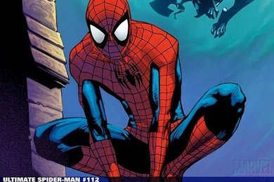 Animated Spiderman Wallpapers   Wallpapers Zone