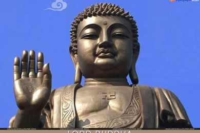 Buddha Wallpapers Free Download   Buddha Pictures With Quotes