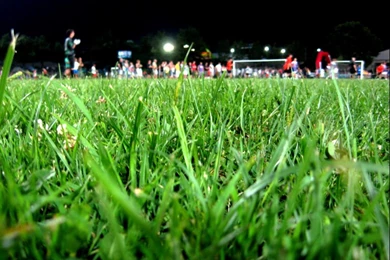 Football Field Grass Wallpapers