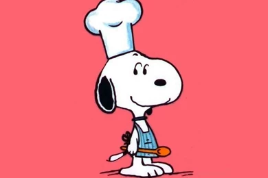 Computer Snoopy Wallpapers, Desktop Backgrounds 1920x1200 Id