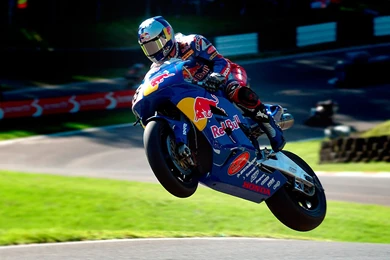 Honda Red Bull Moto GP Wallpapers For Samsung Galaxy Tab