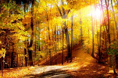 Nature Wallpapers High Quality For Windows 7 Wallpapers