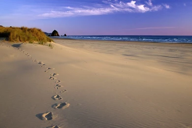 1280x1024 Footsteps On Beach Desktop PC And Mac Wallpapers