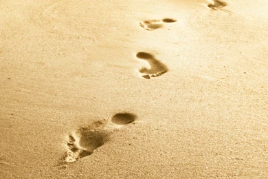 Wallpapers Footprints On A Beach Displaying Images For Following ...