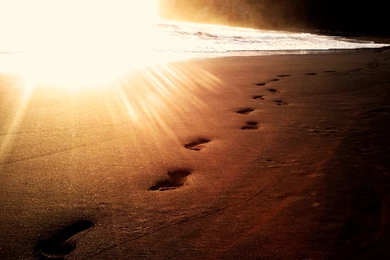 Footprints In The Sand Wallpapers   HD Images New