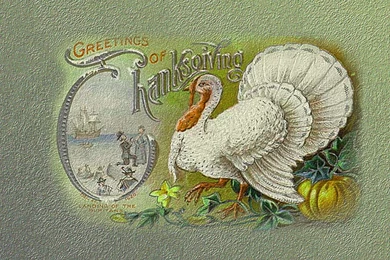 70 Thanksgiving HD Wallpapers