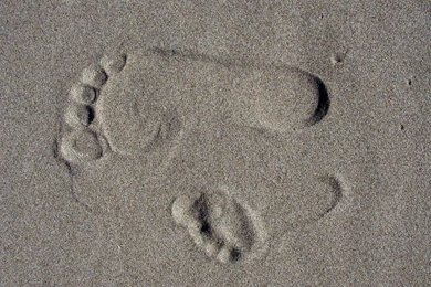 Footsteps On Beach : Desktop And Mobile Wallpapers : Wallippo