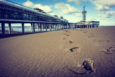Ocean Clouds Beach Footsteps Wallpapers