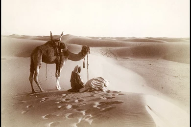 Sahara, Africa, Sahara Footsteps, 1911, Photo Of The Day, Picture ...