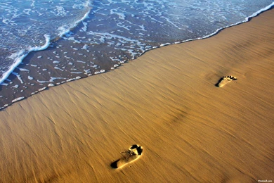 Beach Footsteps   (