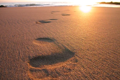 Footsteps   Cliparts.co