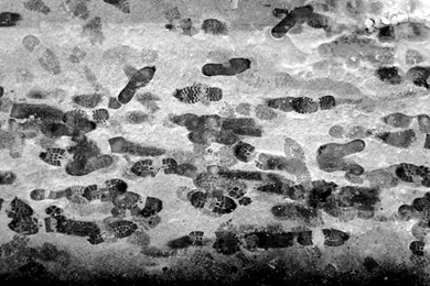 Footsteps In The Snow Image