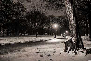 New York City Central Park Footsteps Wallpapers