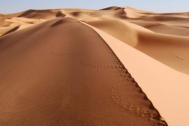 Nature Landscape Images, Sea Sand, Beautiful Footsteps ...
