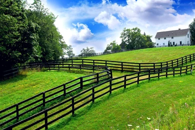 Garden Wallpaper, HQ Backgrounds