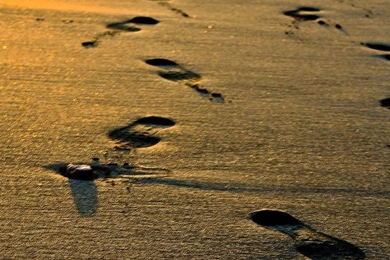 Footsteps On Beach Wallpapers   123mobileWallpapers.com