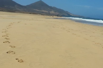 Beach Sand Footsteps Android Wallpapers Free Download