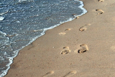 Footsteps In The Sand HD Desktop Wallpapers : Mobile