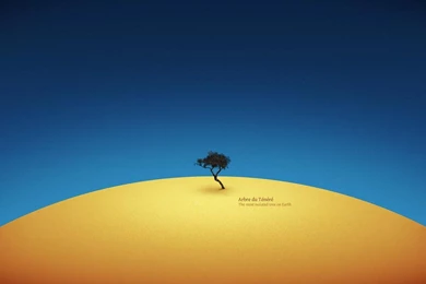 The Most Isolated Tree On Earth Best Hd Wallpapers 1280x720 ...