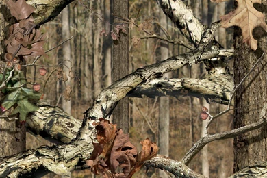 Mossy Oak Wallpapers Download