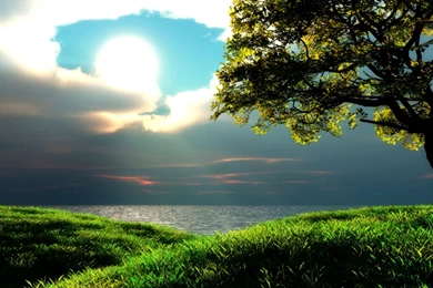 Hd Widescreen Wallpapers