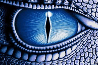 Free dragon wallpaper downloads 9 19073 HD Wallpapers