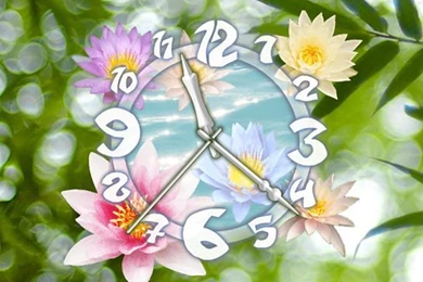 Flower Clock Live Wallpapers   Android Apps And Tests   AndroidPIT