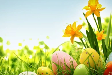 Happy Easter Wallpapers For Desktop Free Download Of Easter Eggs