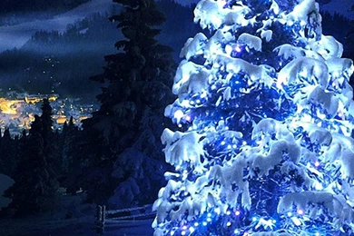 White Christmas Tree Light iPhone 5s Wallpapers Download