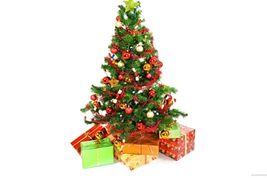 Download 1920x1080 Christmas Tree With Presents Underneath On A ...
