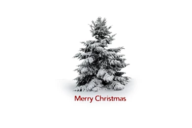 Christmas Tree Wallpapers