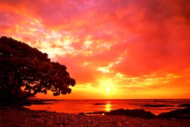 Free Wallpapers Downloads