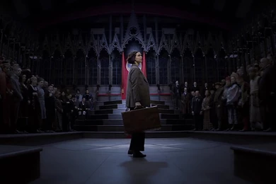 Fantastic Beasts And Where To Find Them Movie Wallpapers 01 ...