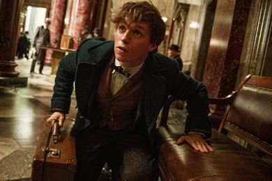 Fantastic Beasts And Where To Find Them Movie Wallpapers 08 ...