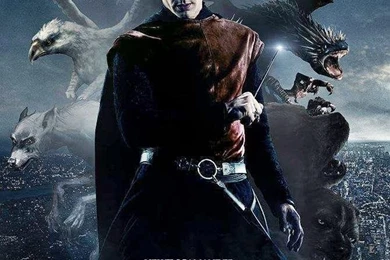 Fantastic Beasts And Where To Find Them Photos