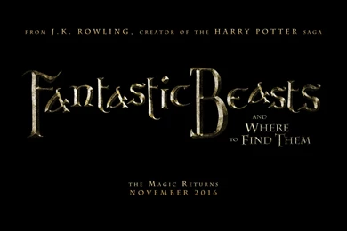 Fantastic Beasts And Where To Find Them By Adityachakra On DeviantArt