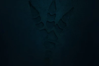 Fantastic Beasts And Where To Find Them Poster By ProfBell On ...