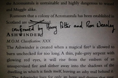 Fantastic Beasts And Where To Find Them: Harry Potter Spinoff Film ...