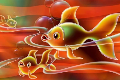 Where To Find Stock Photos Hd Wallpapers