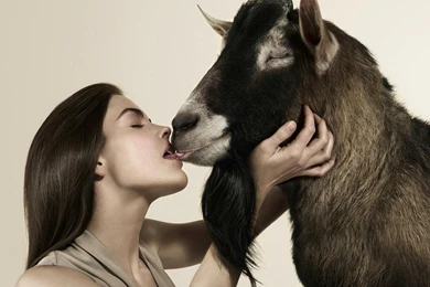 Love Is Evil, Love And Goat Wallpapers And Images   Wallpapers ...