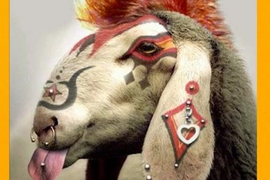 Wallpaperswide9.blogspot.com