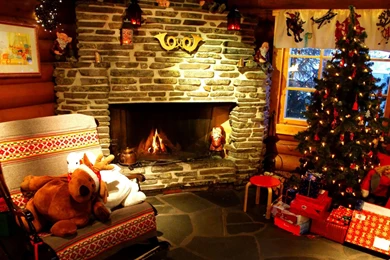 Website Gallery, Design, Photos, High Definition D: Tree ...