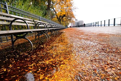 1920x1080 Autumn New York Wallpapers