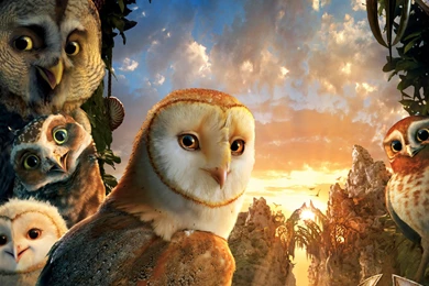 All Wallpapers   Hebus.org   High Definition Wallpapers   HD ...