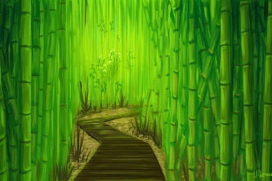 Bamboo Forest By Kamocha On DeviantArt
